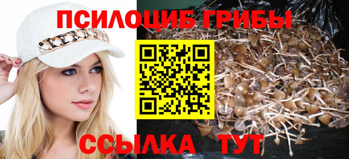 Галлюциногенные грибы MAGIC MUSHROOMS  Псилоцибиновые грибы Psilocybine cubensis  Вход с VPN  Буйнакск 