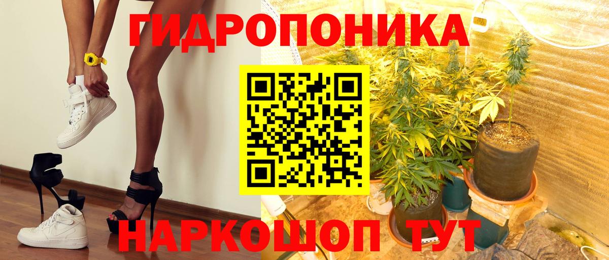 Бошки Шишки Bruce Banner  Бошки марихуана AK-47  Буйнакск  Бошки марихуана семена  Канабис White Widow  Вход с VPN 